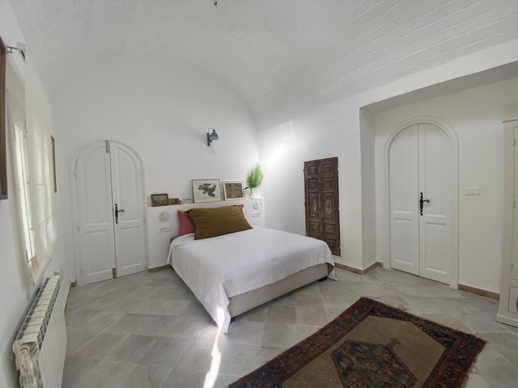 Lella Zohra, Studio Avec Piscine A Sidi Bou Said Bed & Breakfast エクステリア 写真