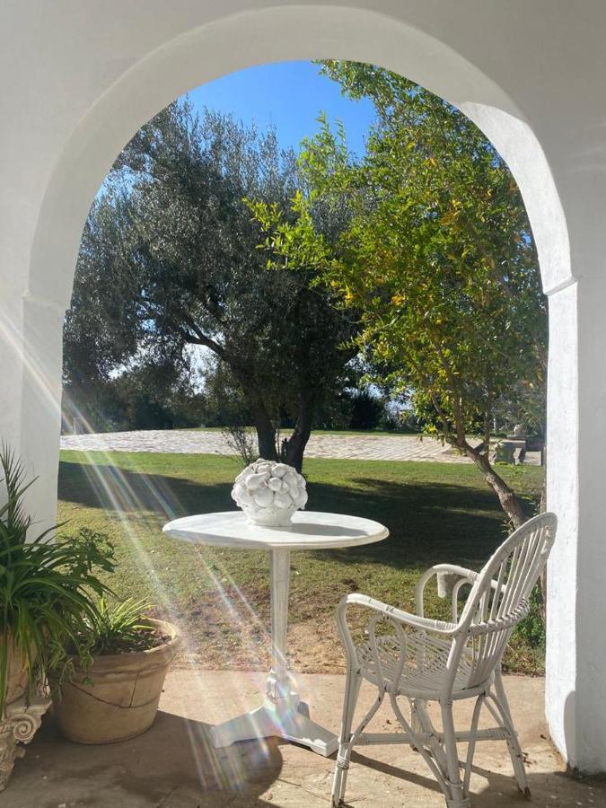 Lella Zohra, Studio Avec Piscine A Sidi Bou Said Bed & Breakfast エクステリア 写真