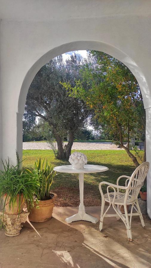 Lella Zohra, Studio Avec Piscine A Sidi Bou Said Bed & Breakfast エクステリア 写真