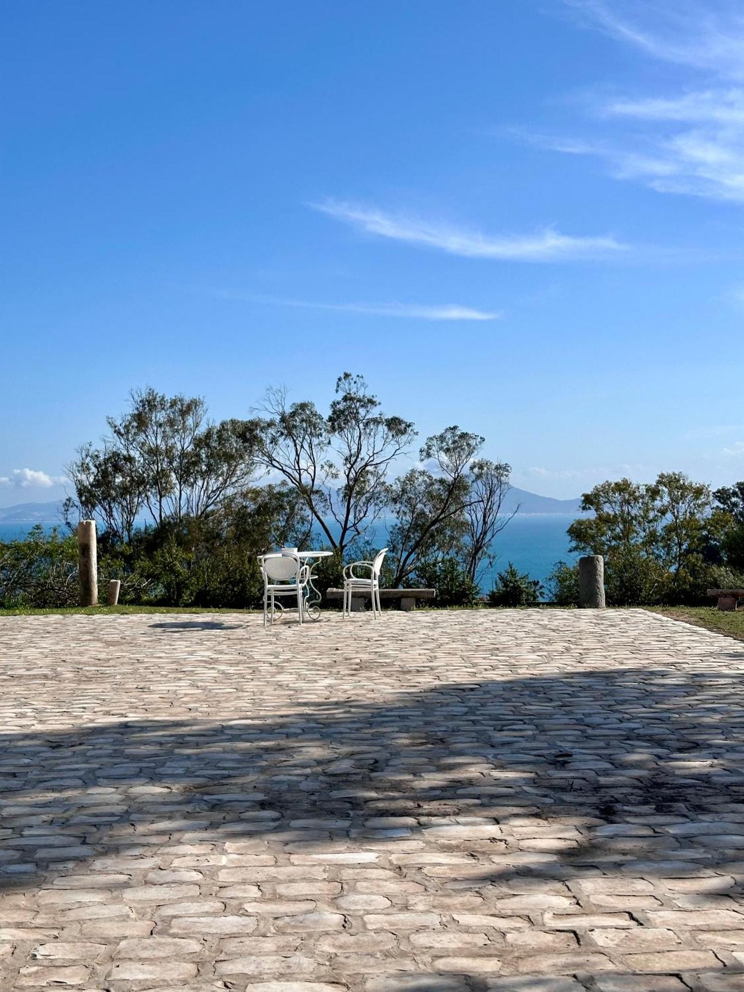 Lella Zohra, Studio Avec Piscine A Sidi Bou Said Bed & Breakfast エクステリア 写真
