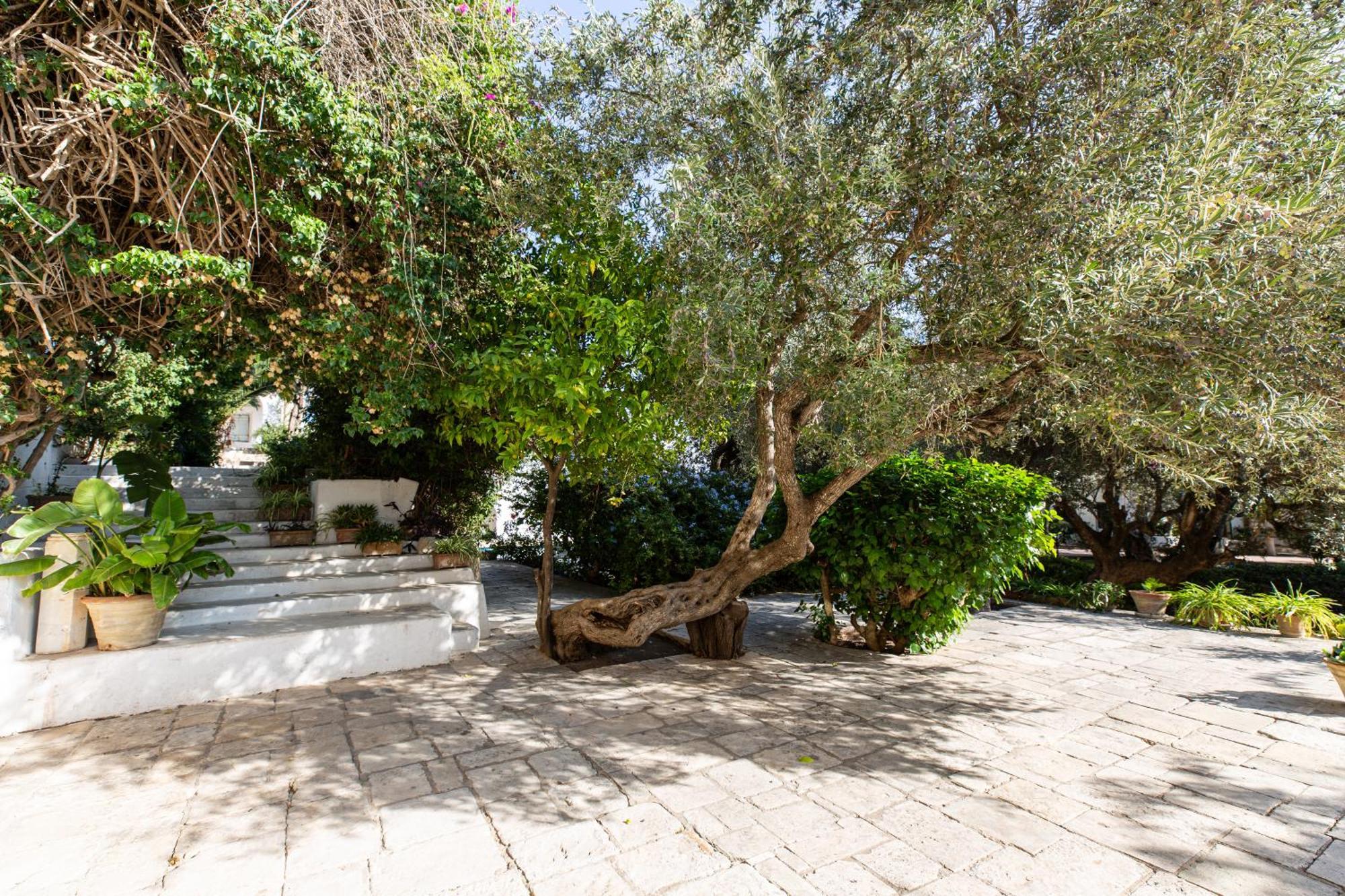 Lella Zohra, Studio Avec Piscine A Sidi Bou Said Bed & Breakfast エクステリア 写真