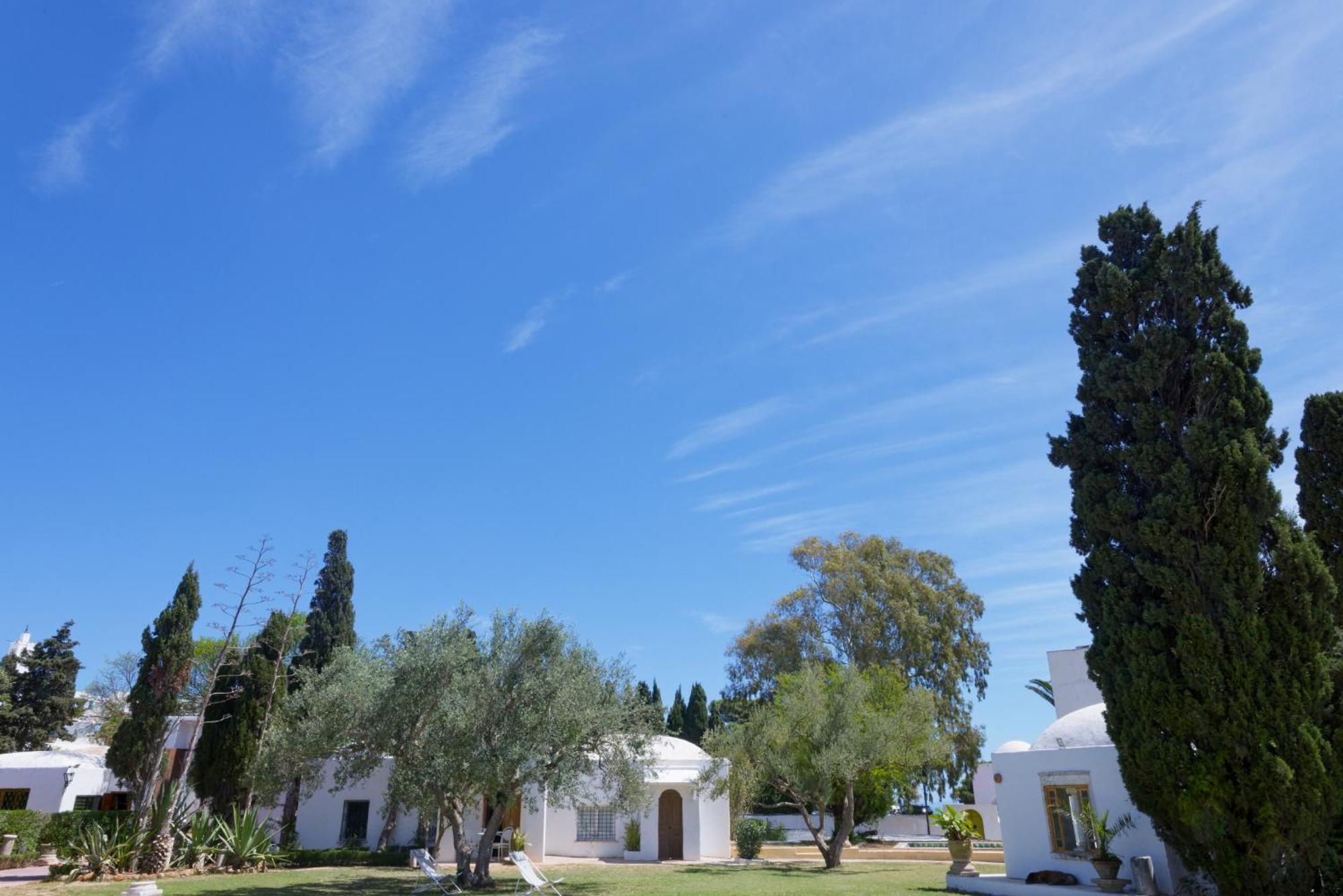 Lella Zohra, Studio Avec Piscine A Sidi Bou Said Bed & Breakfast エクステリア 写真