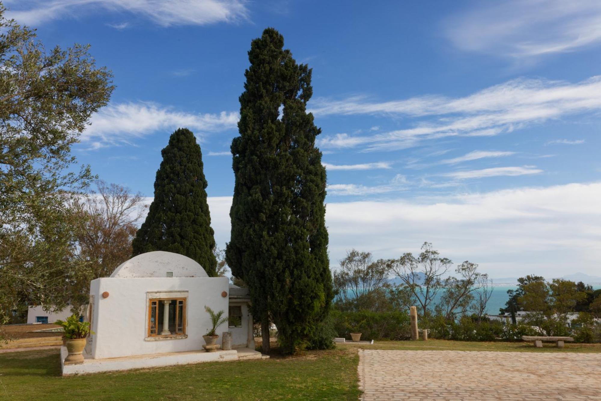 Lella Zohra, Studio Avec Piscine A Sidi Bou Said Bed & Breakfast エクステリア 写真