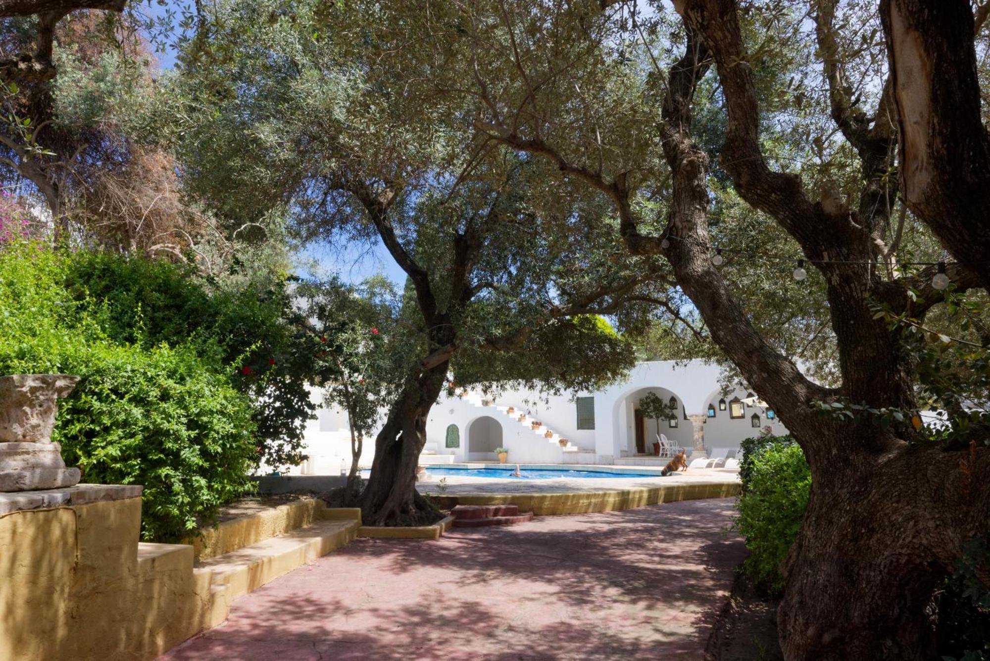 Lella Zohra, Studio Avec Piscine A Sidi Bou Said Bed & Breakfast エクステリア 写真